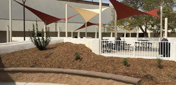 imageedit_64_9473030086 Scarlett Landscaping