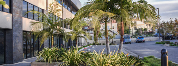 imageedit_68_5667559148 landscaping case study
