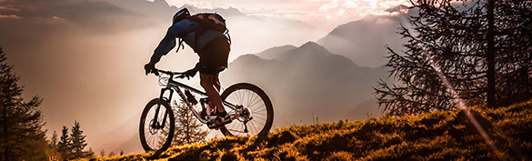 imageedit_77_3498745757 Niner Bikes Case Study
